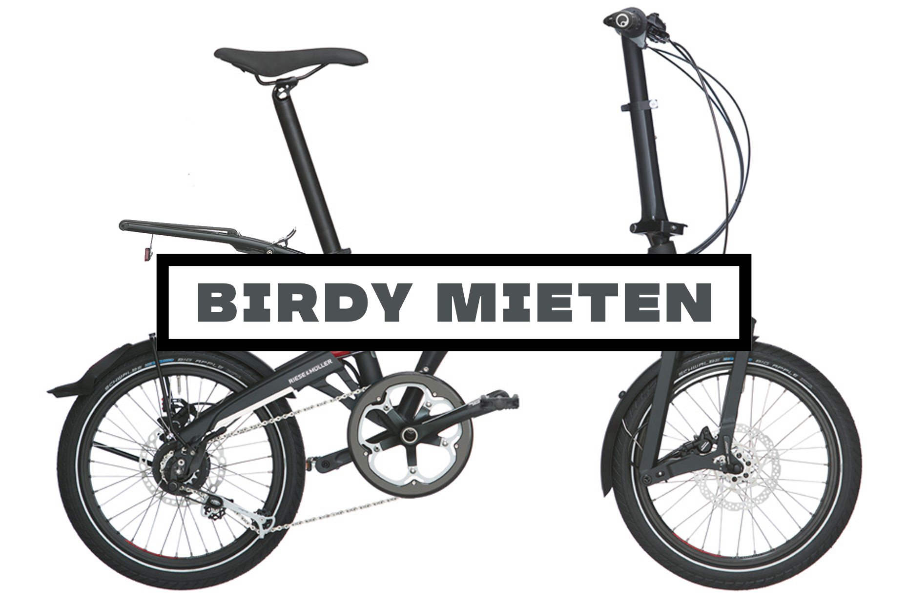 Birdy Mieten